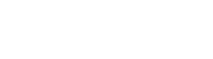 Logo Rarespot